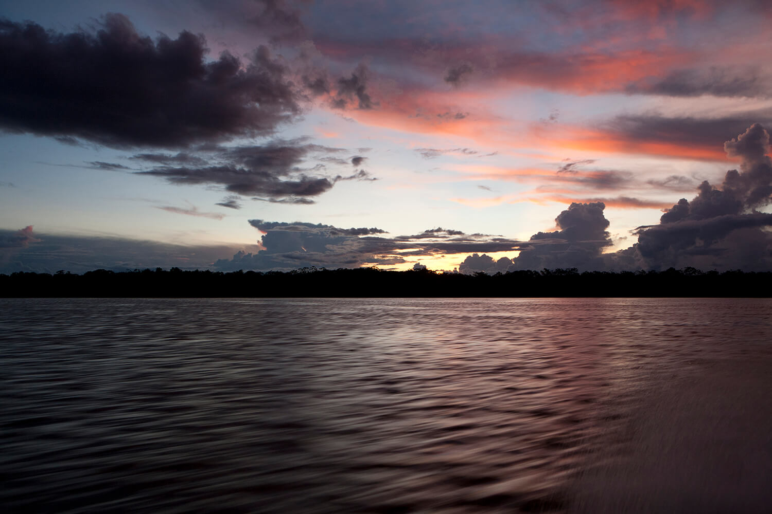 AMAZONAS 33 rio galeria_MG_6300.jpg